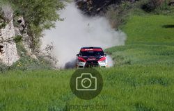 Carles LLINAS / Kiko TORRA